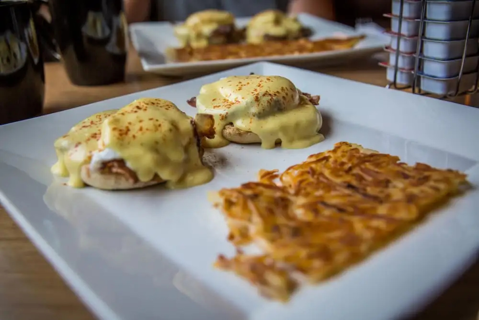 Squirrel Tree Resort