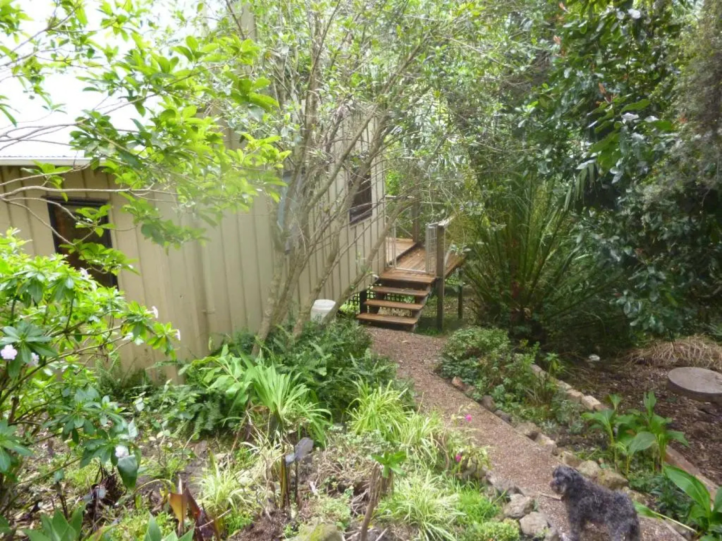 Waiheke Island Punga Lodge