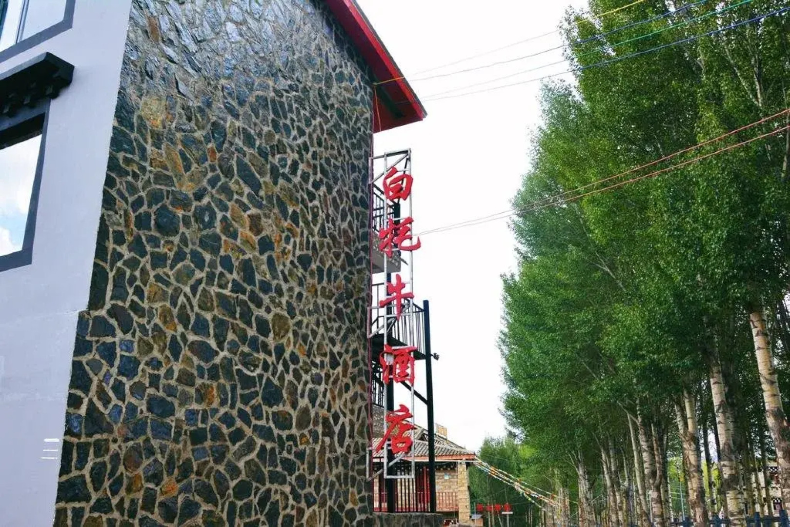 Daocheng Yading Baimaoniu Hotel