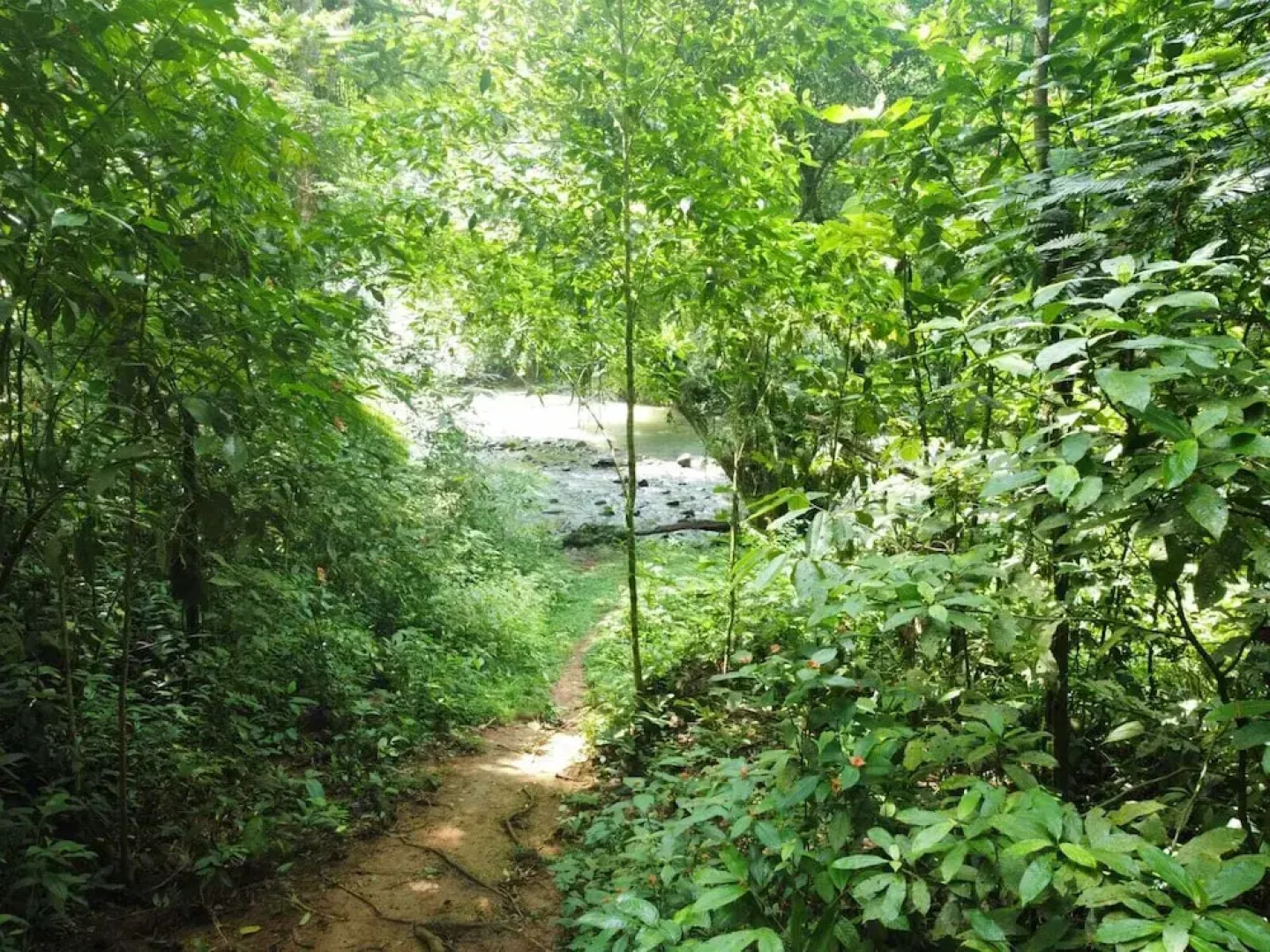 Perla verde hostel y tours en la zona