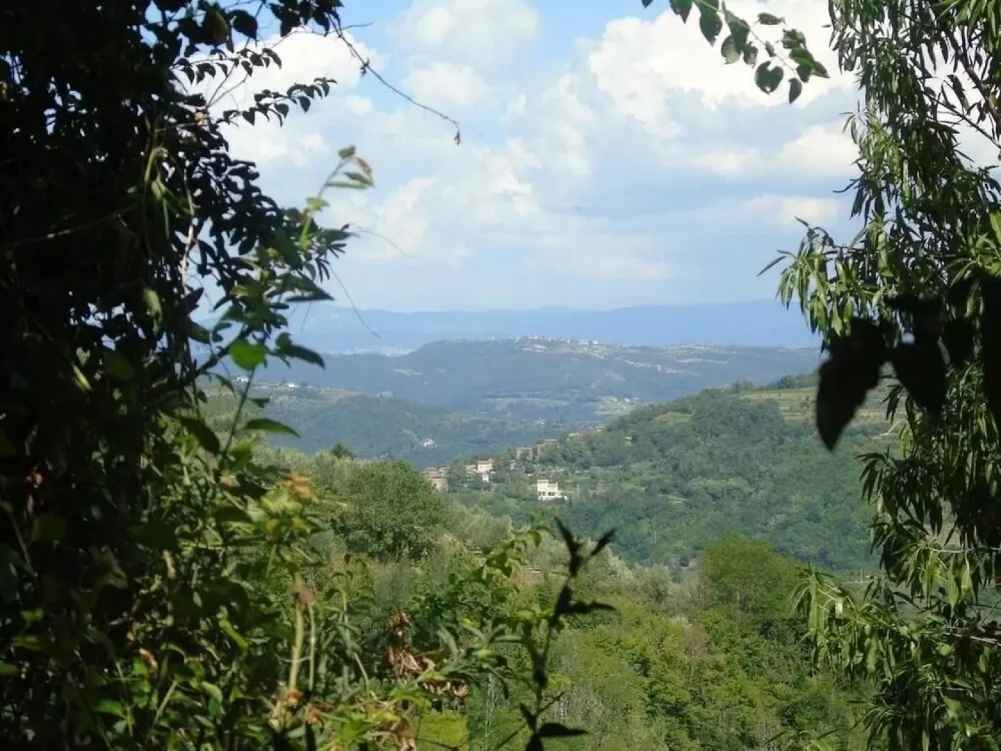 Stjepan - Panoramic View - SA1