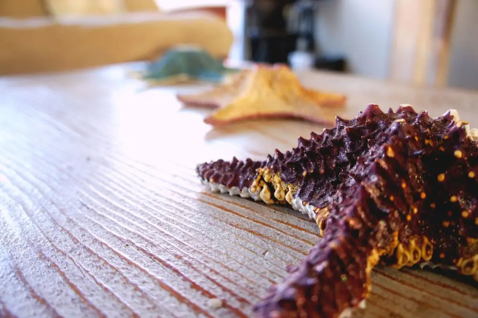 Costa del Mar #57 2 BR by Csaago