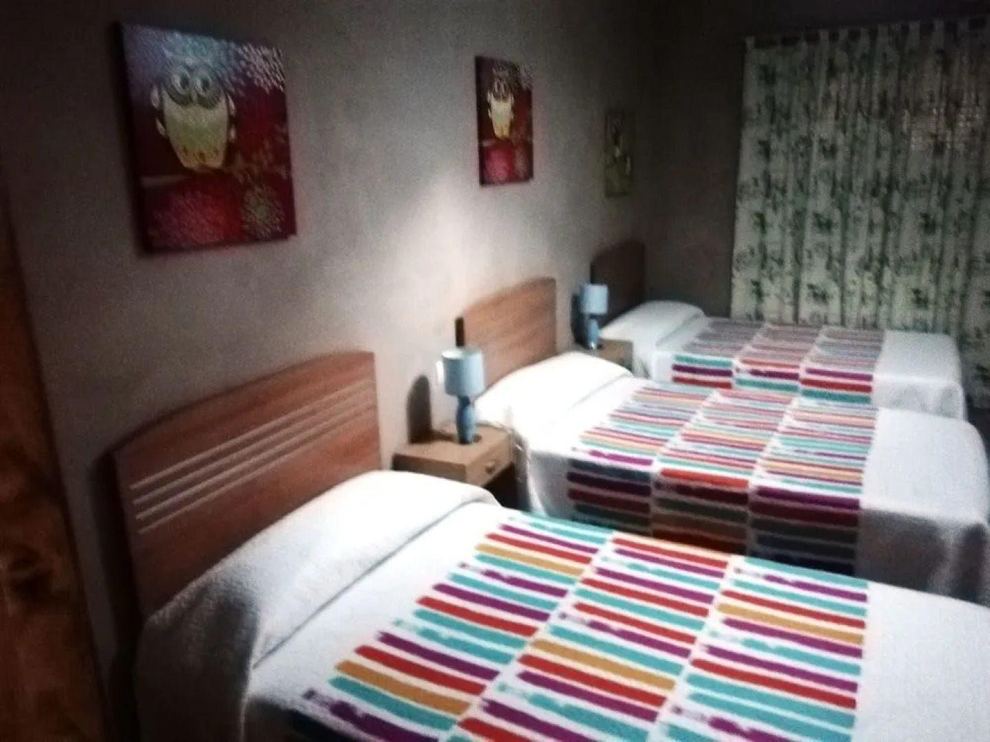 Casa Rural Puente del Segura F