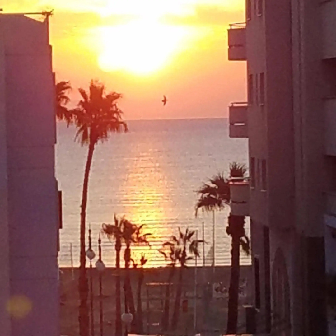 Atrium Zenon Hotel Apartments