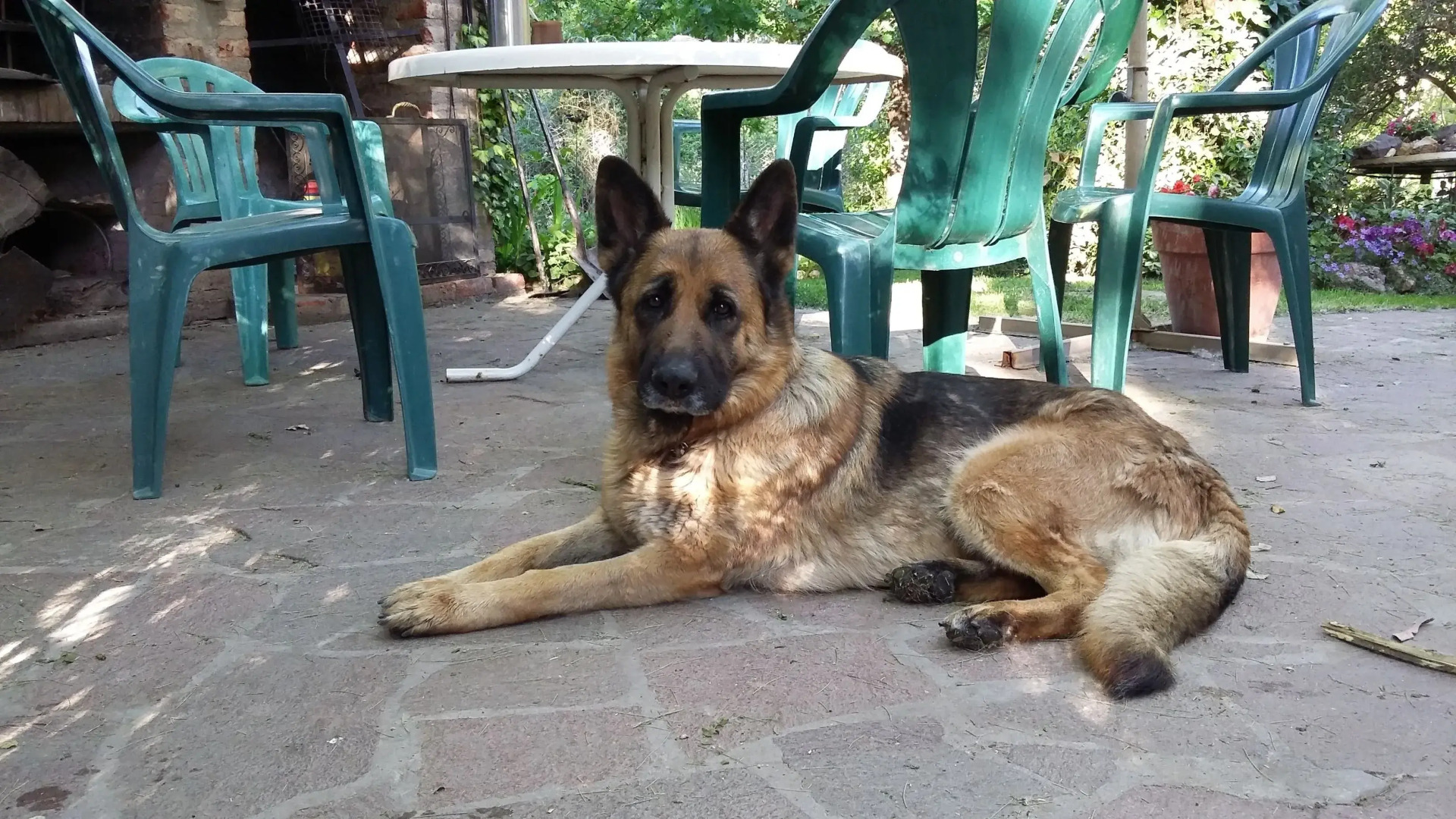 El Colibri Cabañas de la Naturaleza