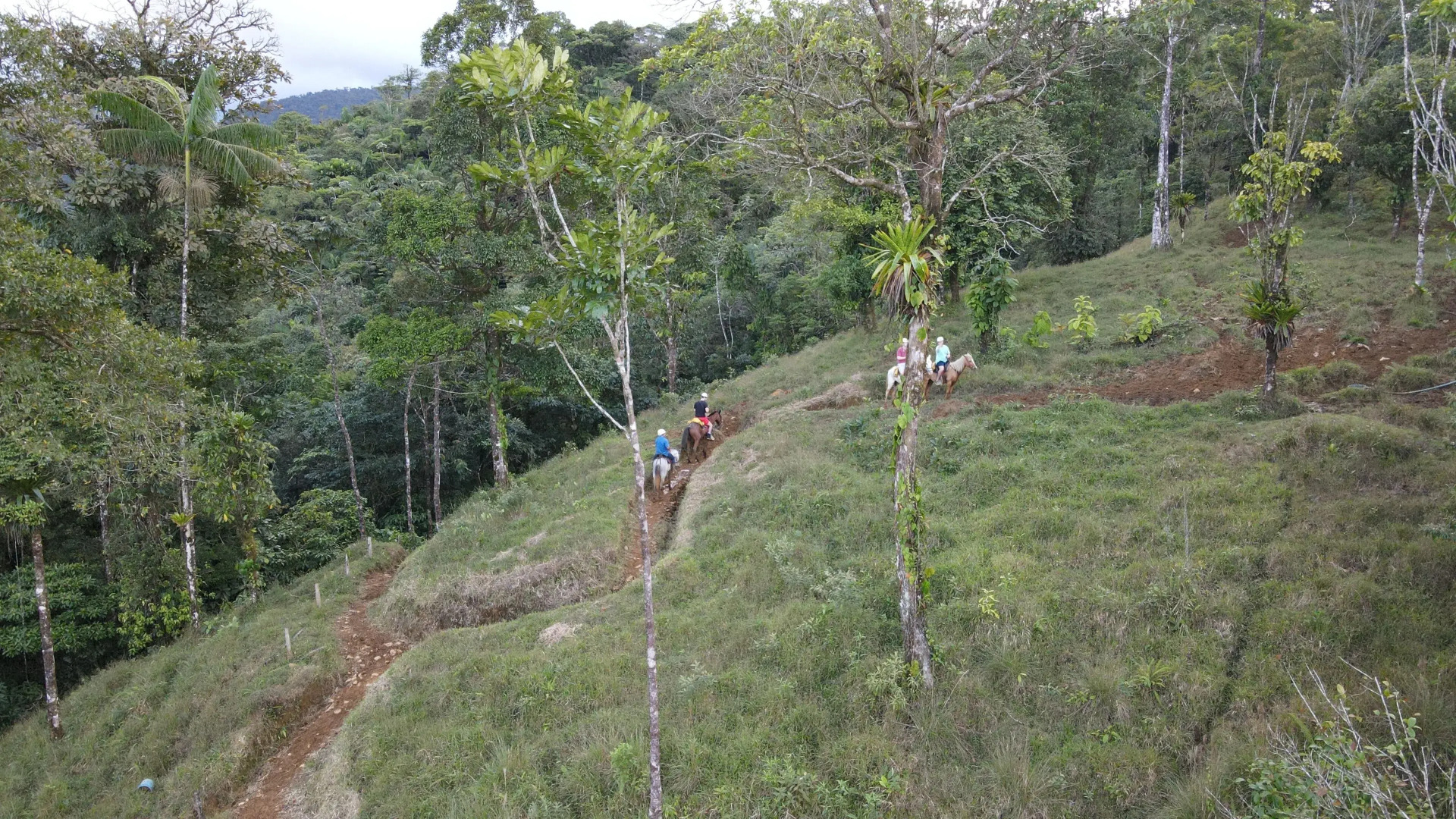 Rio Celeste Nature View