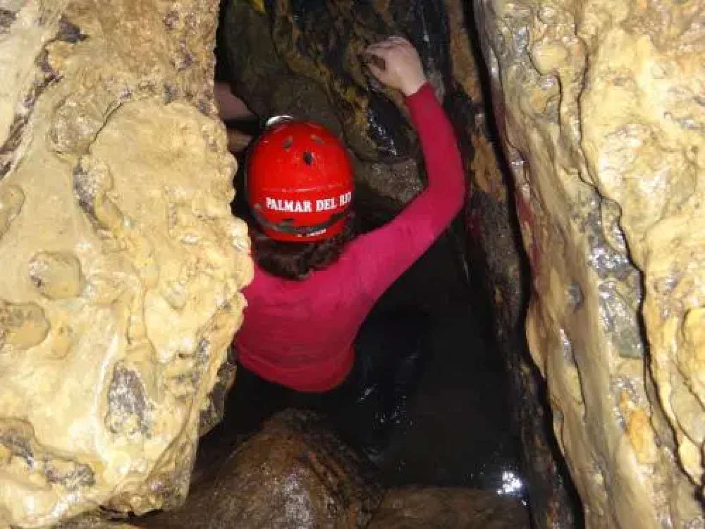 Hotel Palmar del Río PREMIUM