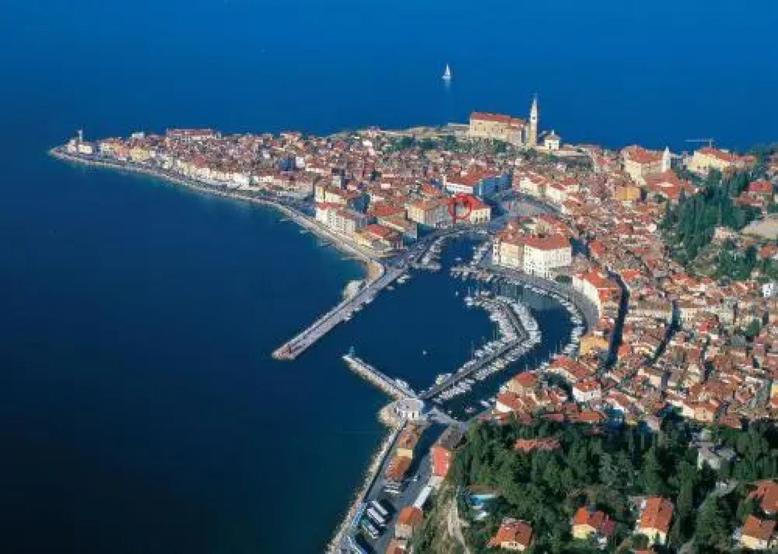 Apartment Buena Vista Piran