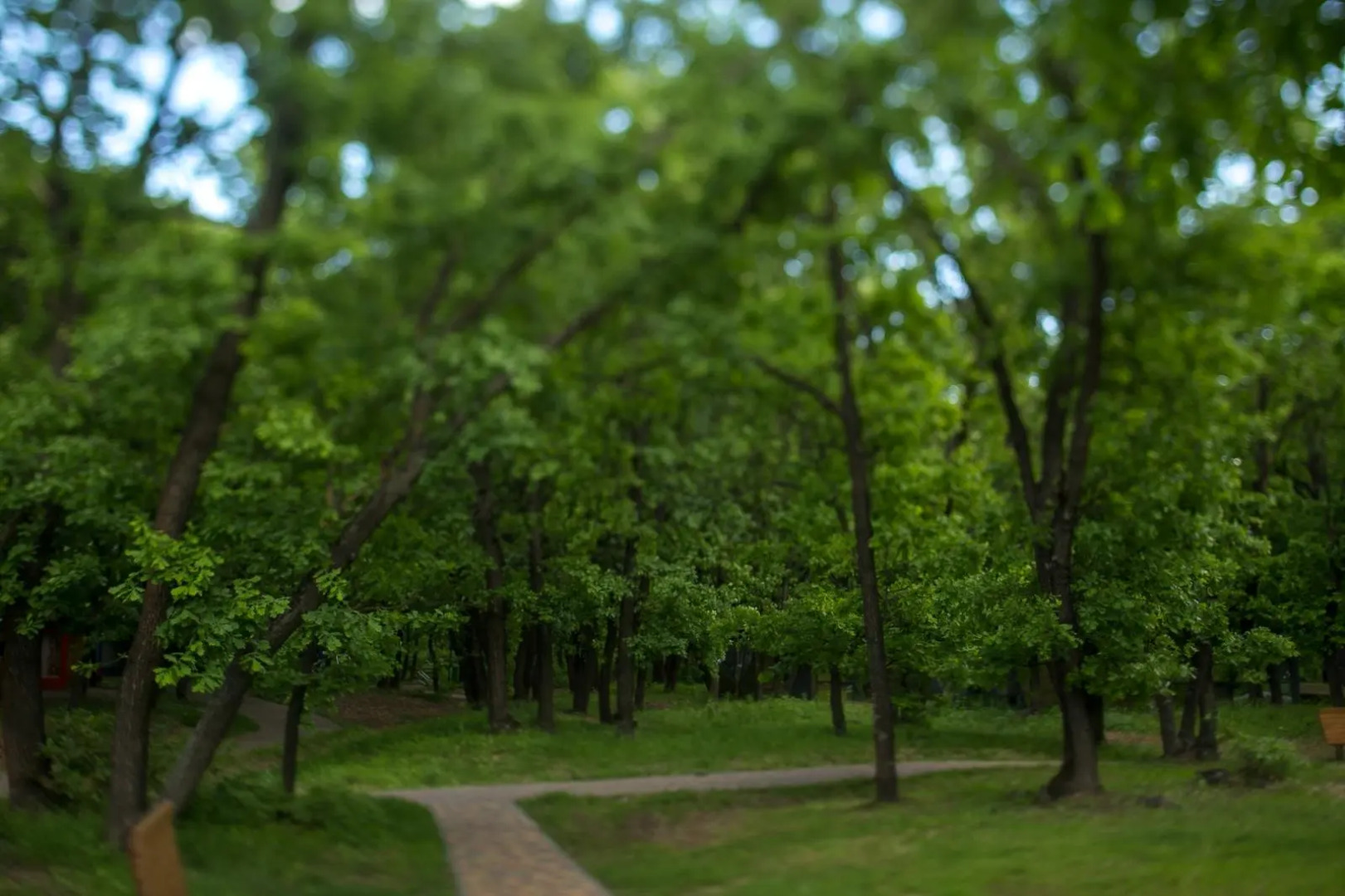 База отдыха Парк-Клуб Дубровский