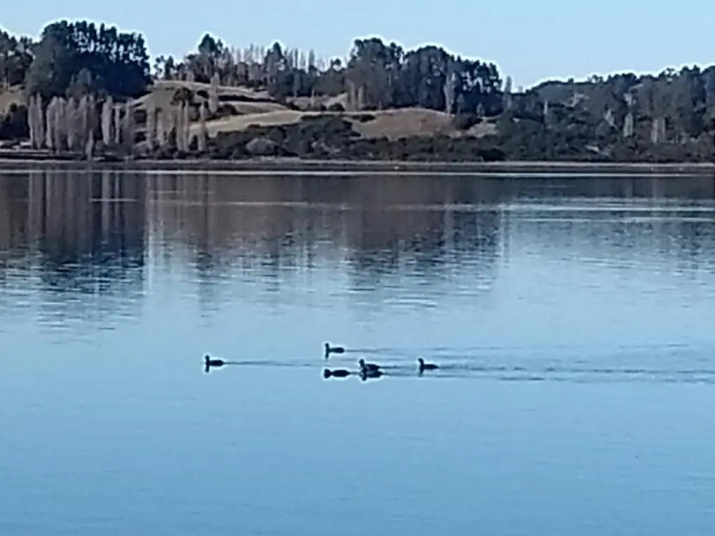 Cabañas Reflejo de Luna