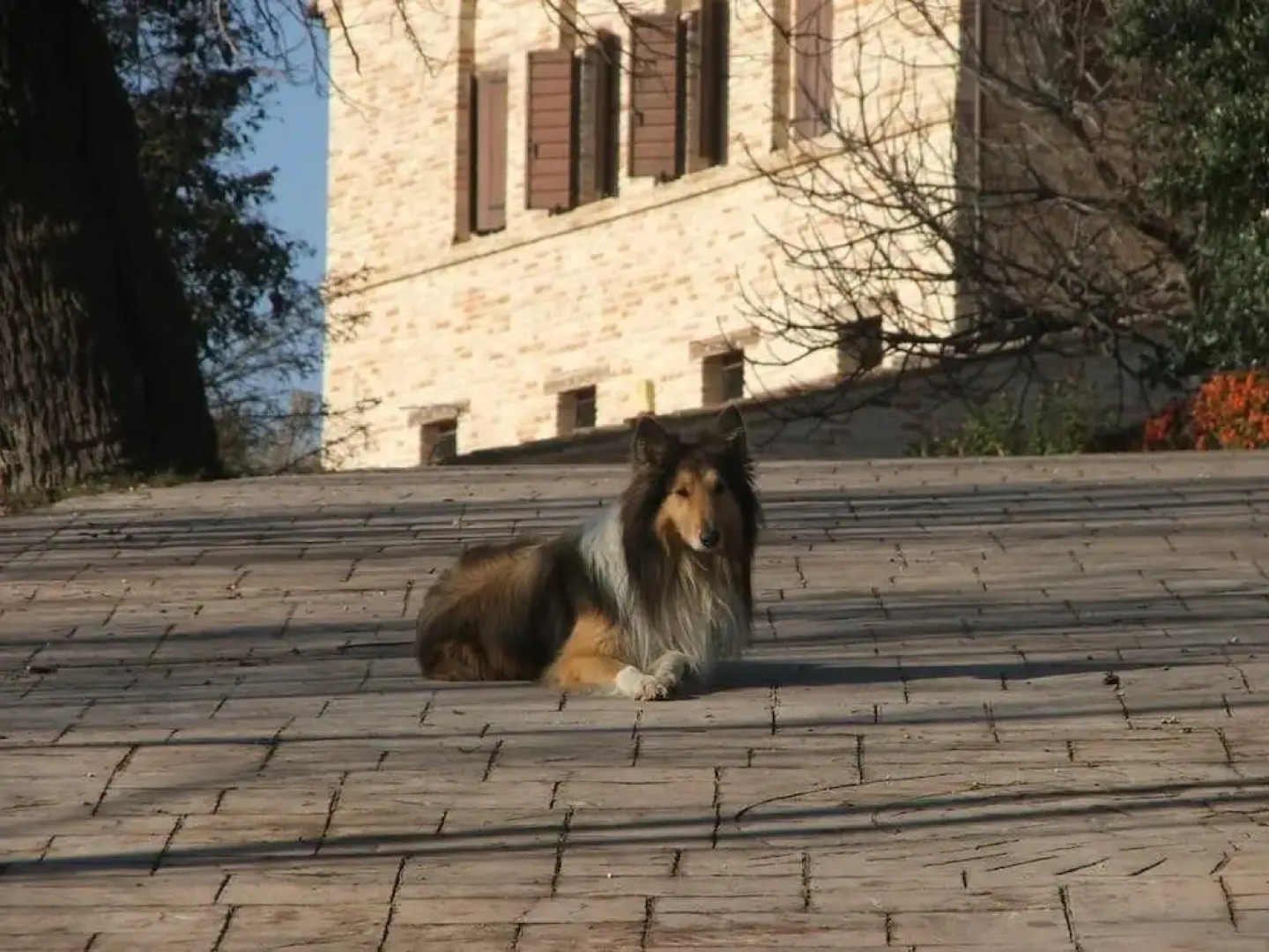 Il Casale Dell'Acquabona