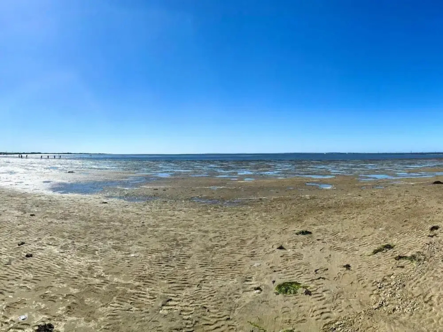 Near the North Sea Modern Retreat