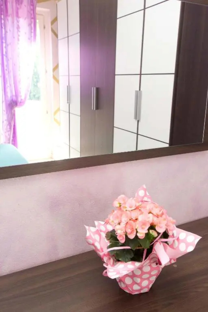 Wine & Lake In Franciacorta