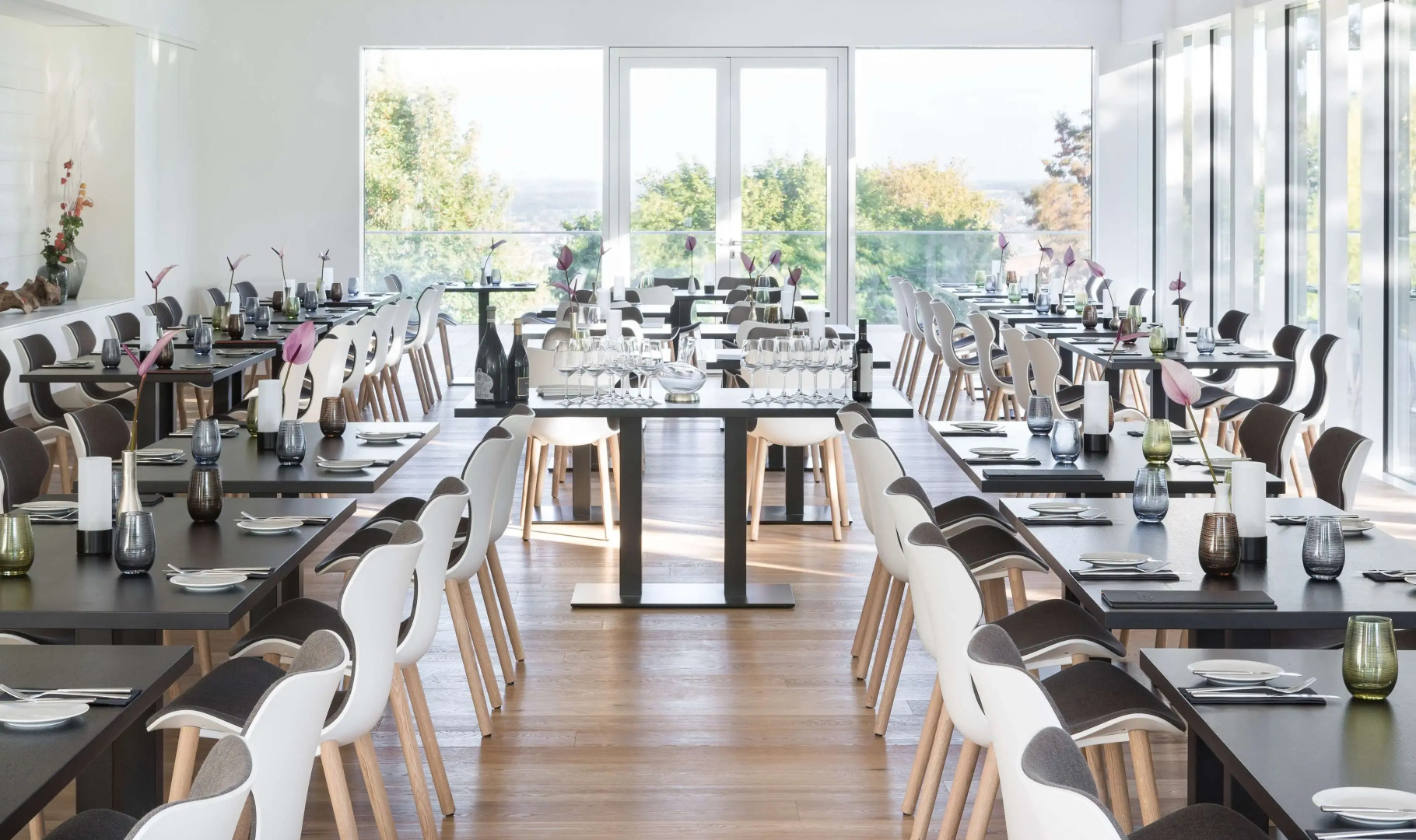 Scotty + Emily Hotel Ulm, Sure Hotel Collection by BW