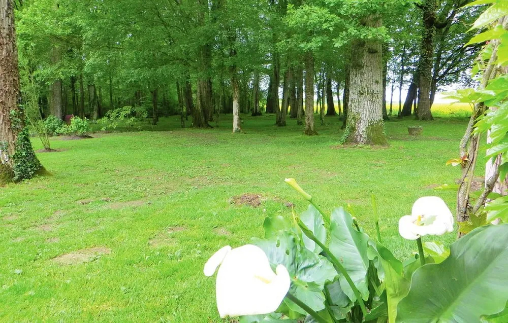 House With 2 Bedrooms in Saint Branchs, With Pool Access, Furnished Ga