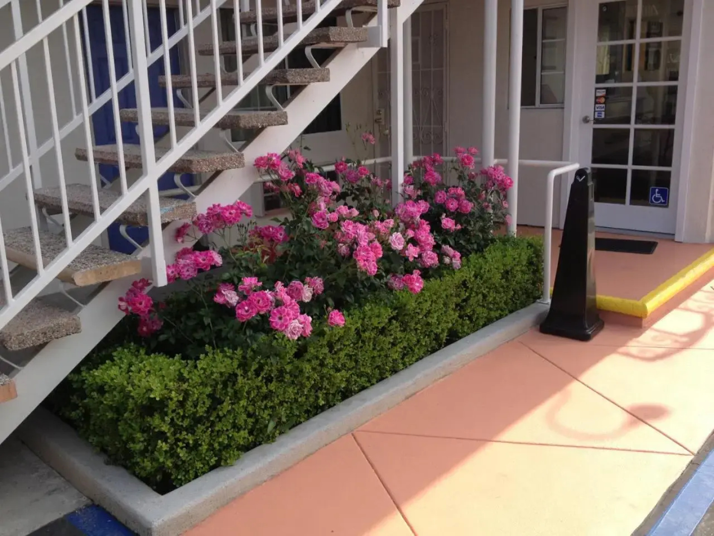 Bella Suites