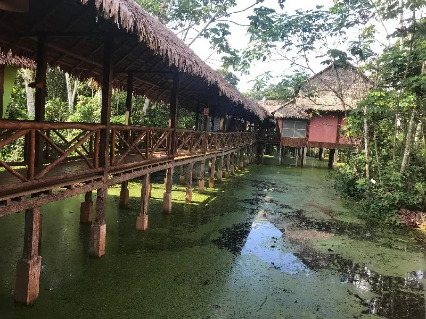 Heliconia Amazon River Lodge