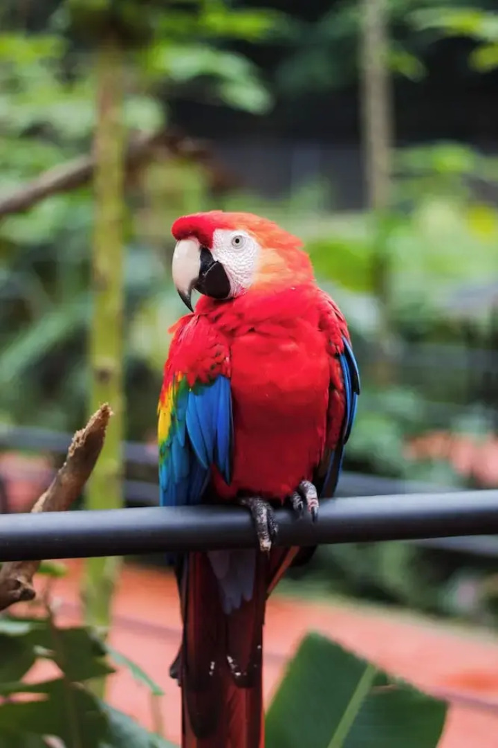 Maper Mardan - Beira Rio