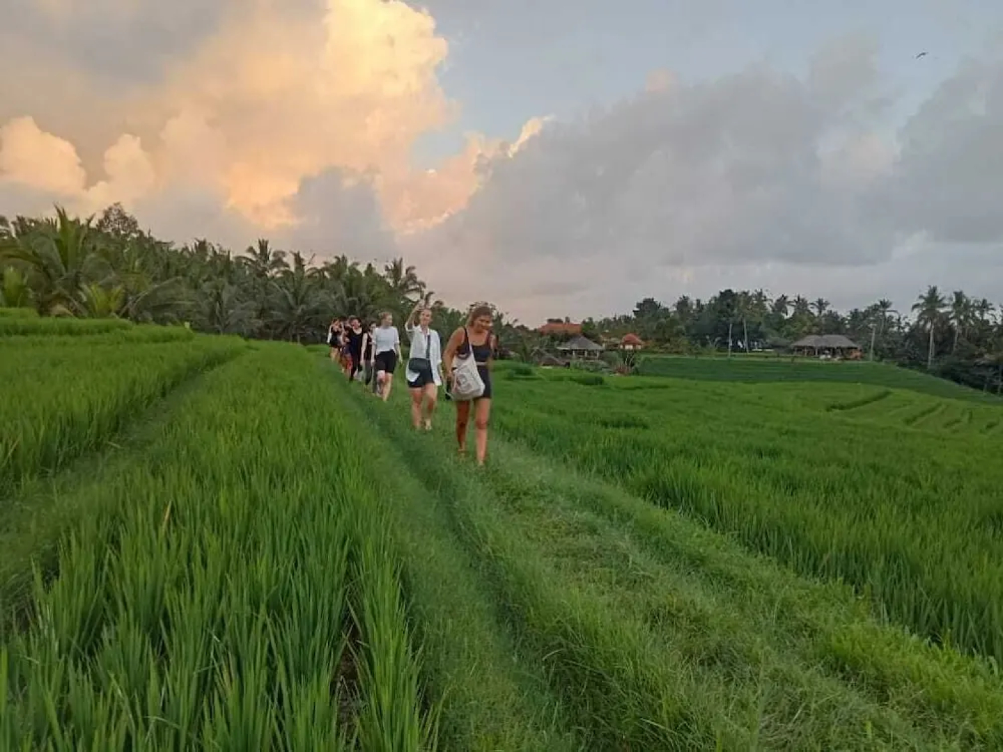 Balitrees Retreats