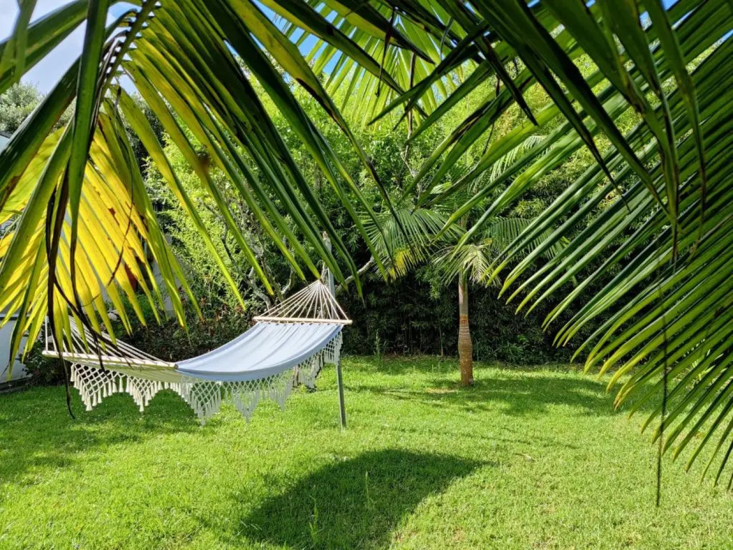 Quinta Minuvida Orchard Lodge