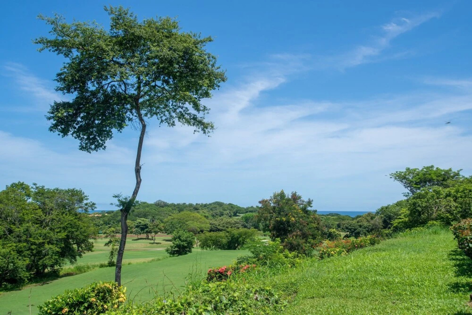Peek-a-Boo Ocean view Condo at Reserva Conchal