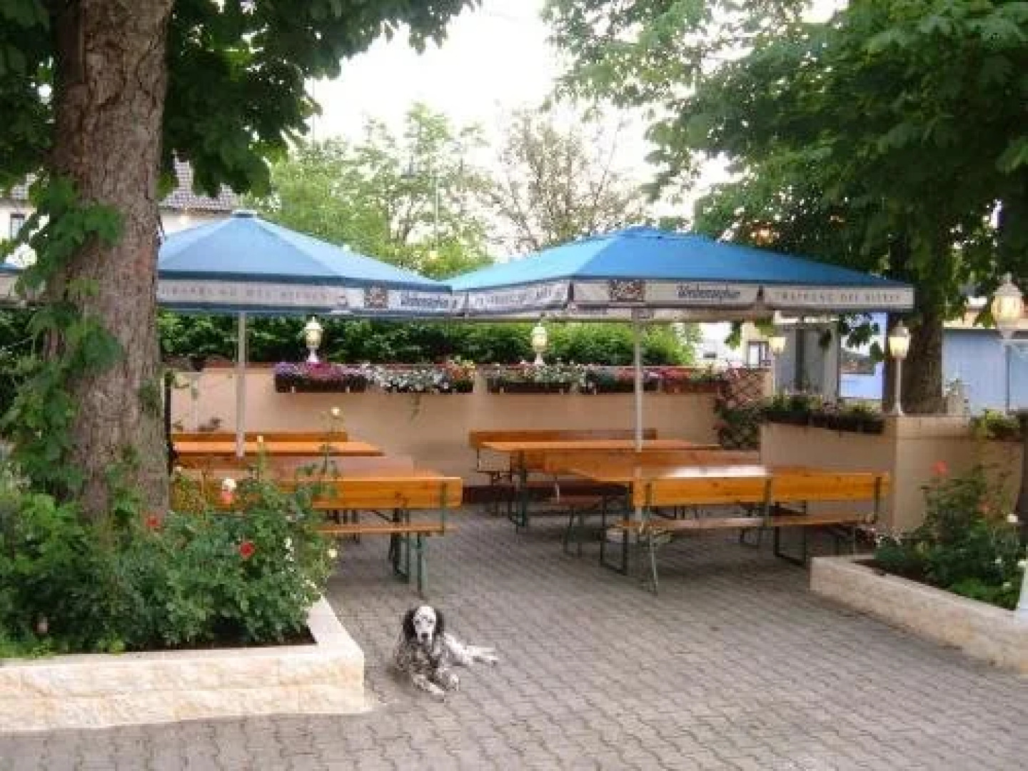 Assos Hotel Restaurant