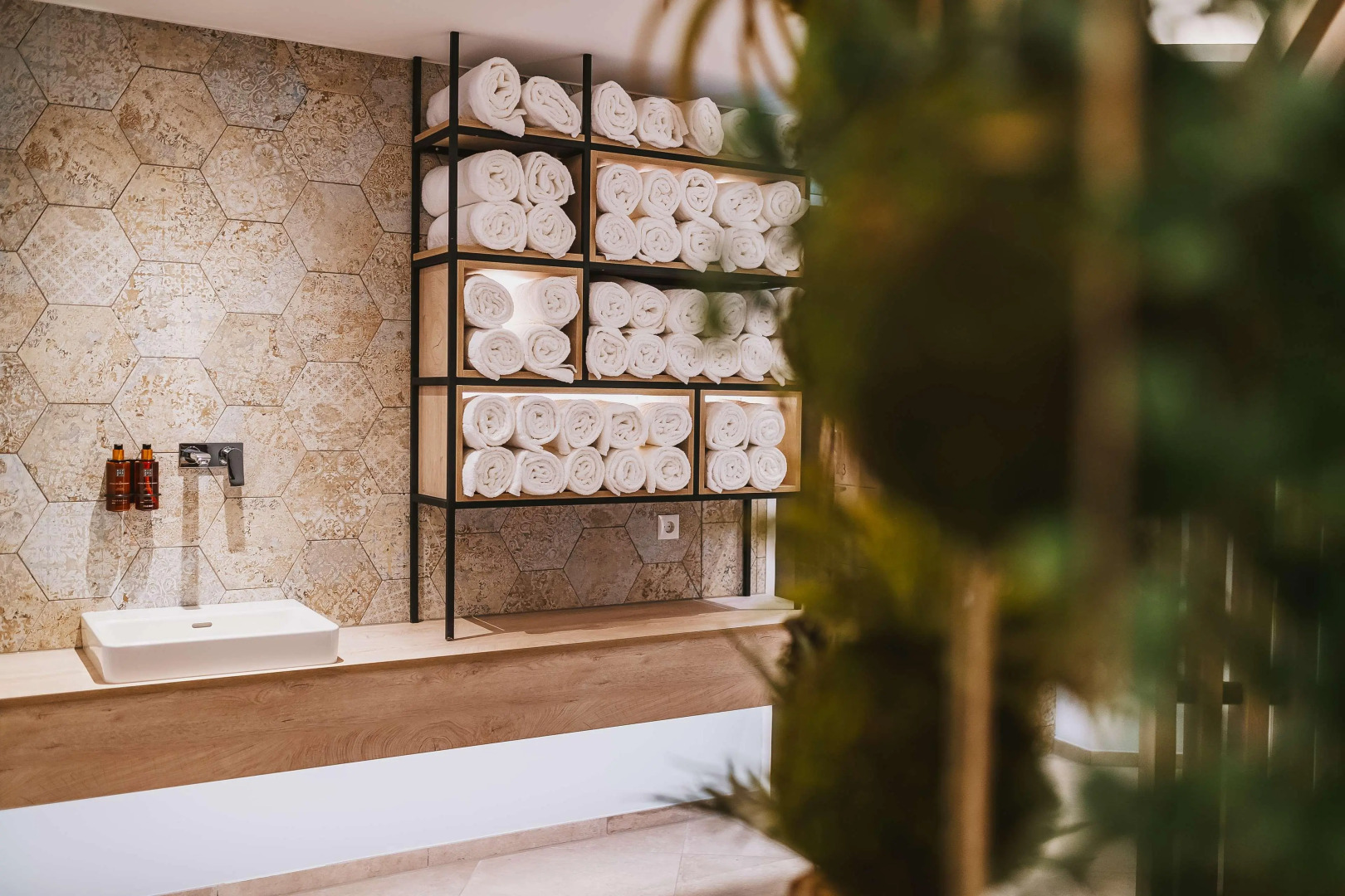 Elements Resort Zell am See, BW Signature Collection