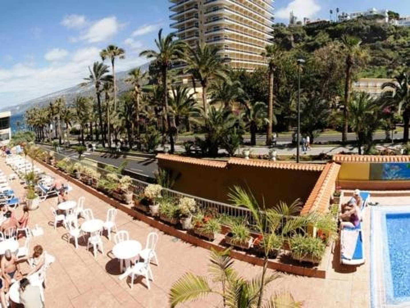 Elegance Palmeras Playa