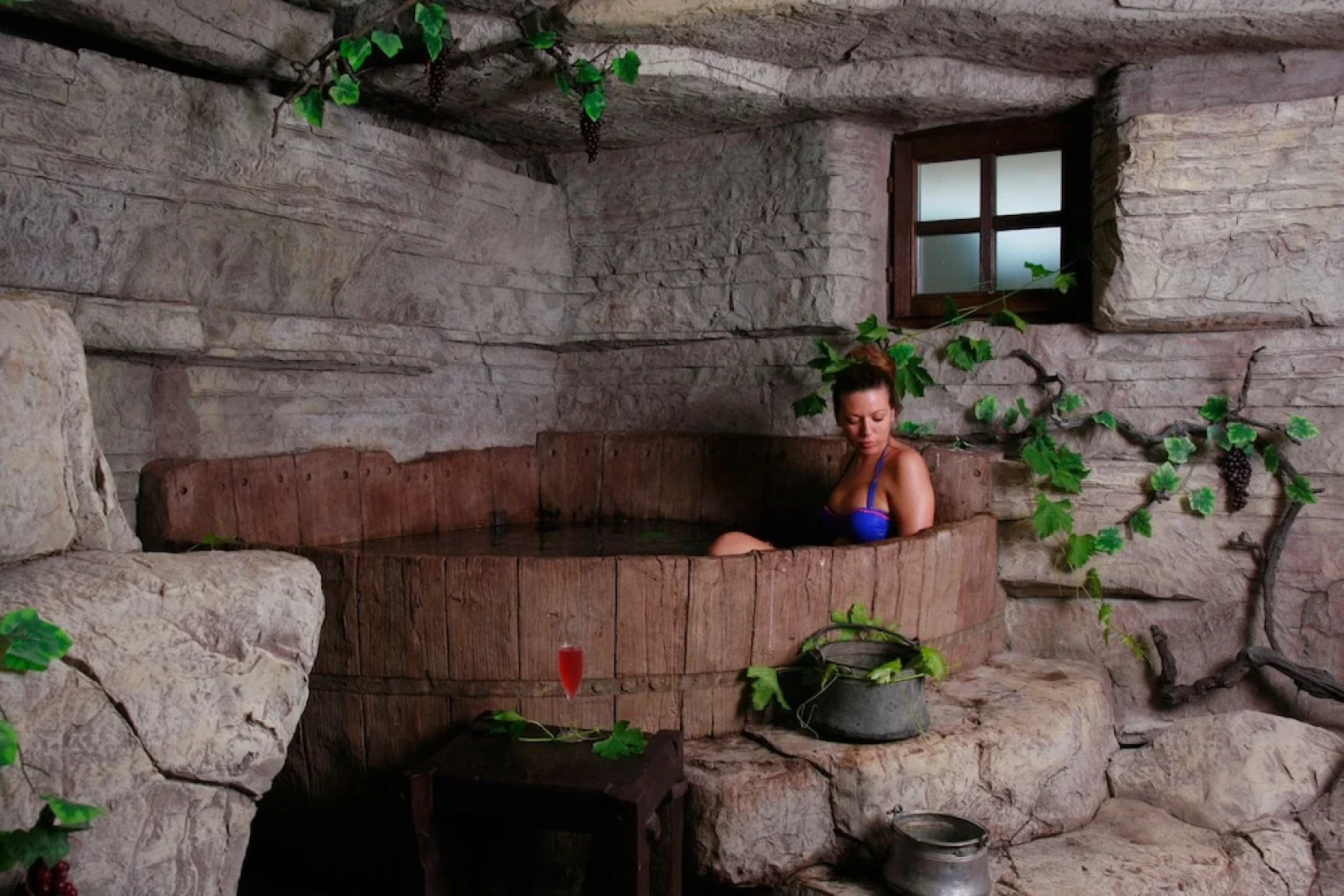 Wine & SPA Complex Starossel