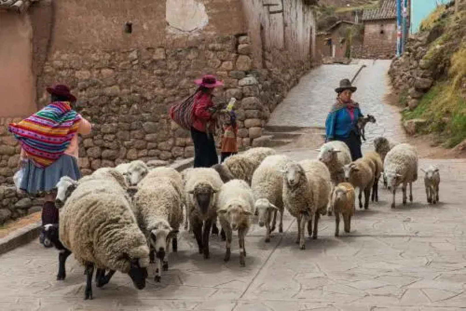 Munay Tika Family House