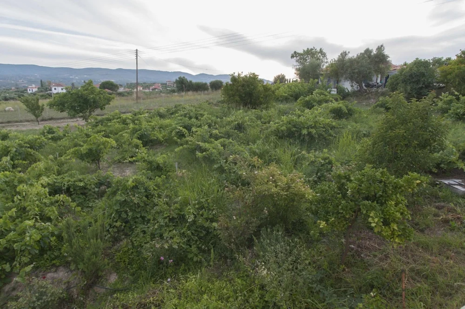 Koroni Vacation Near The Beach