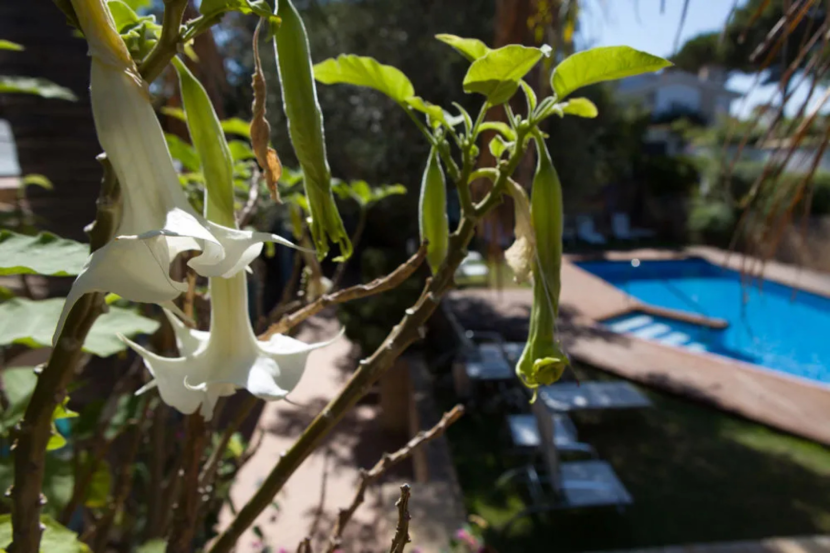 Apartamentos - Los Jandalos Vistahermosa