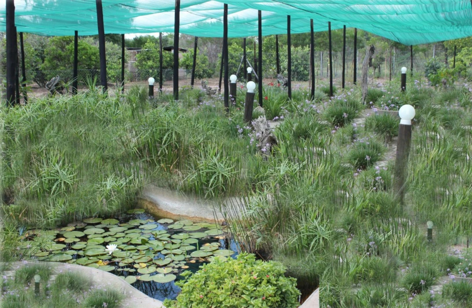 Tshimologo Farm Guest House