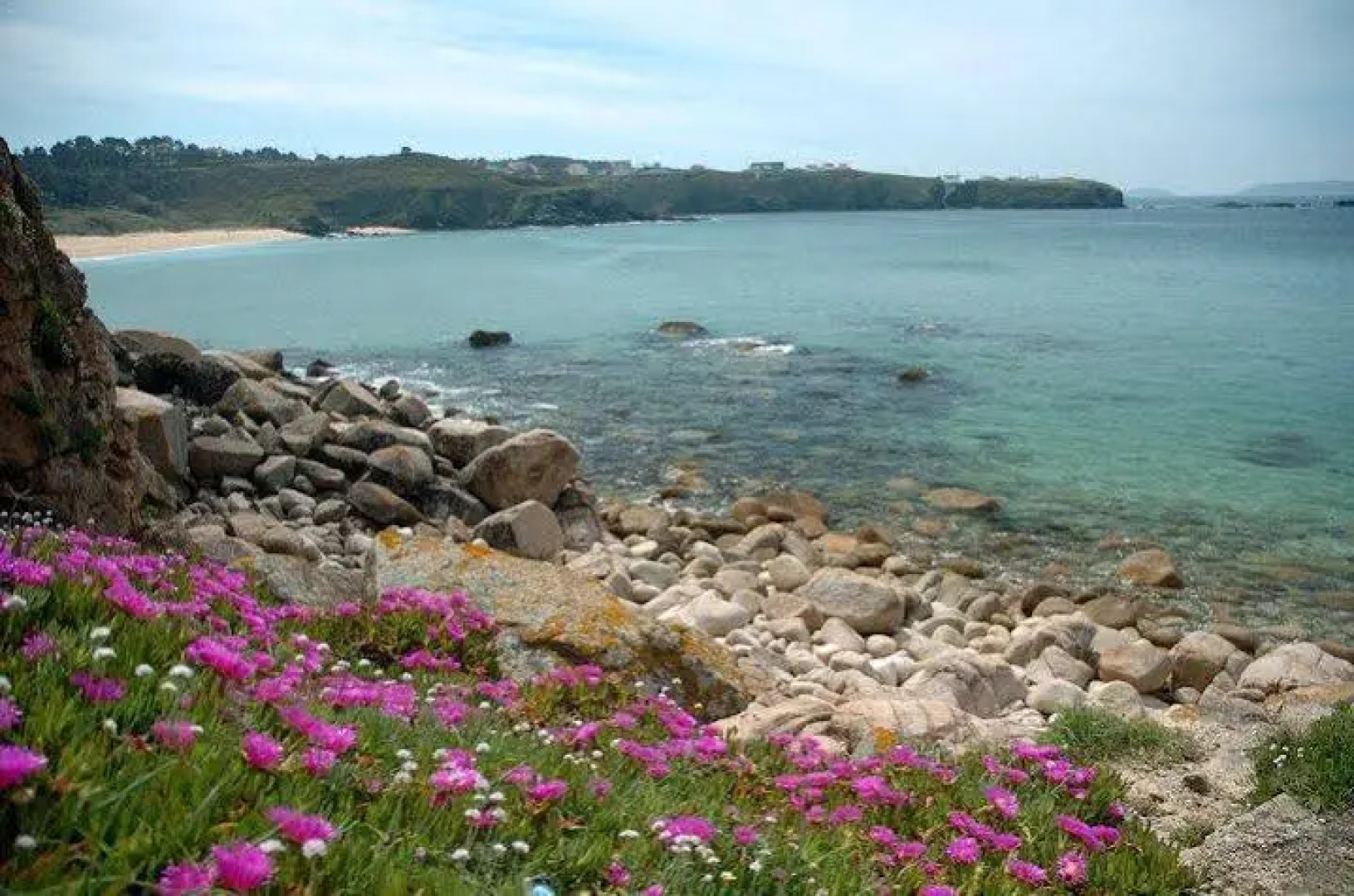 Apartamentos La Rana