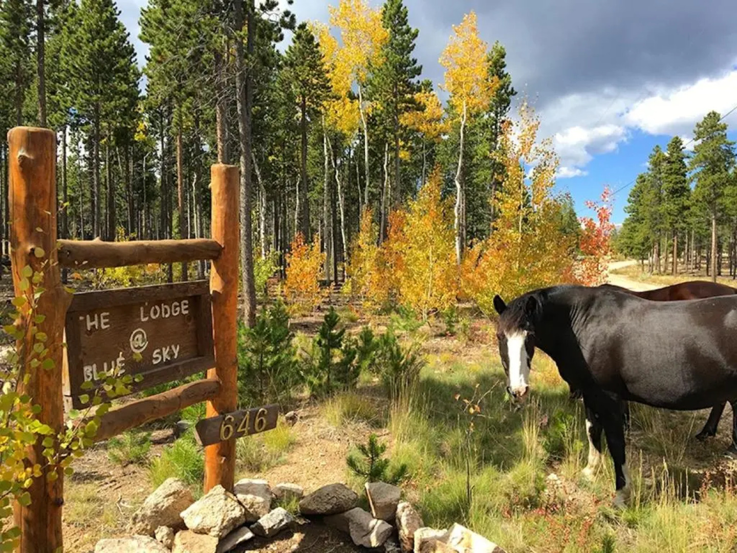Blue Sky Mountain Ranch