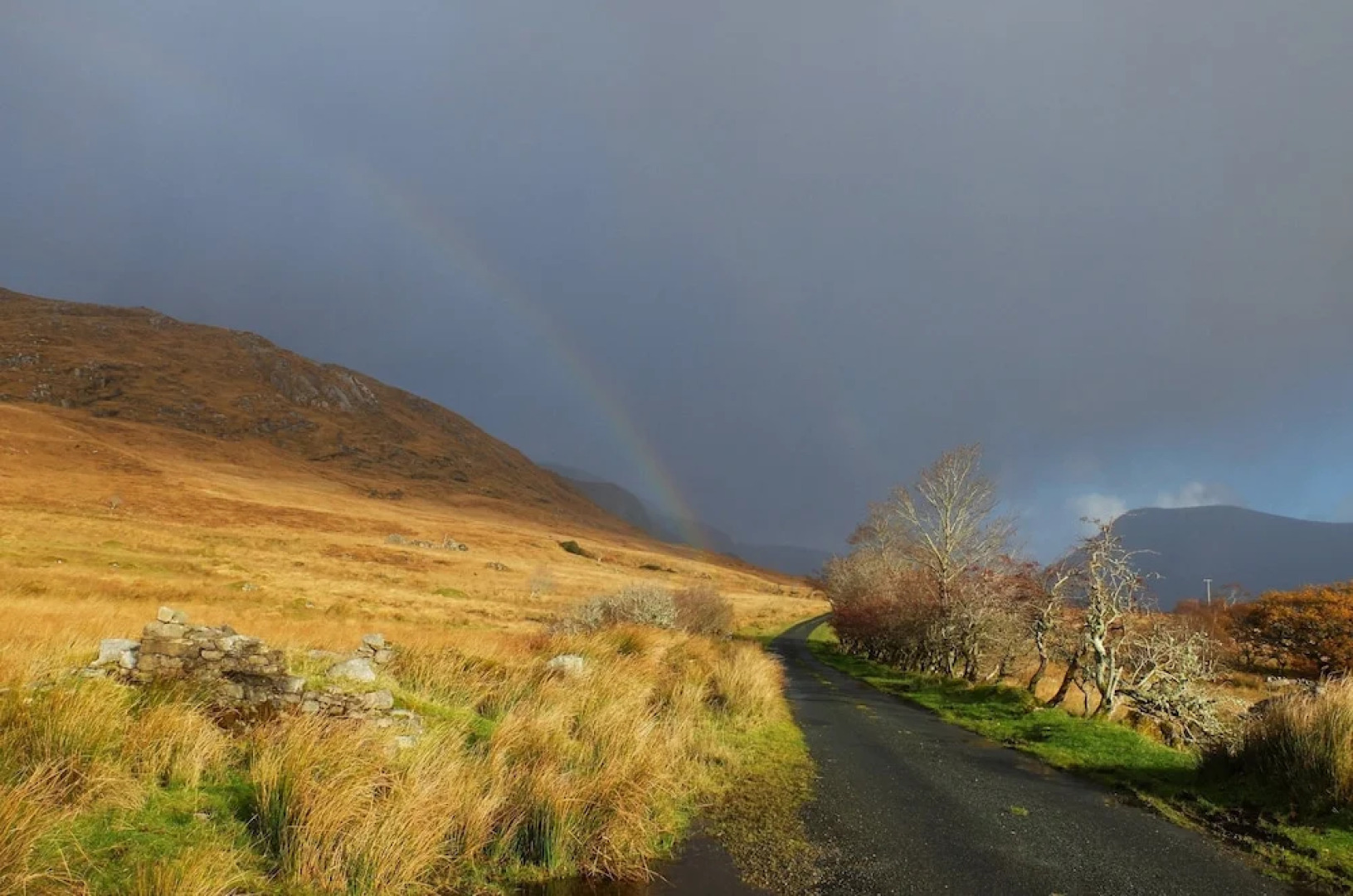 Willow Cottage Donegal B&B