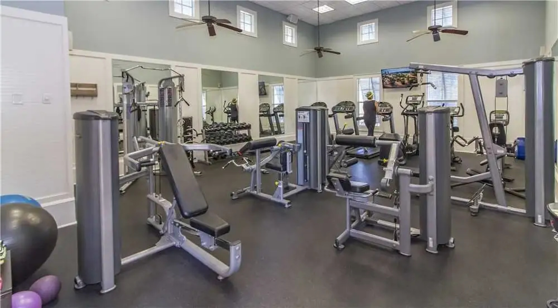 Dancing Dolphin by Vacation Rental Pros