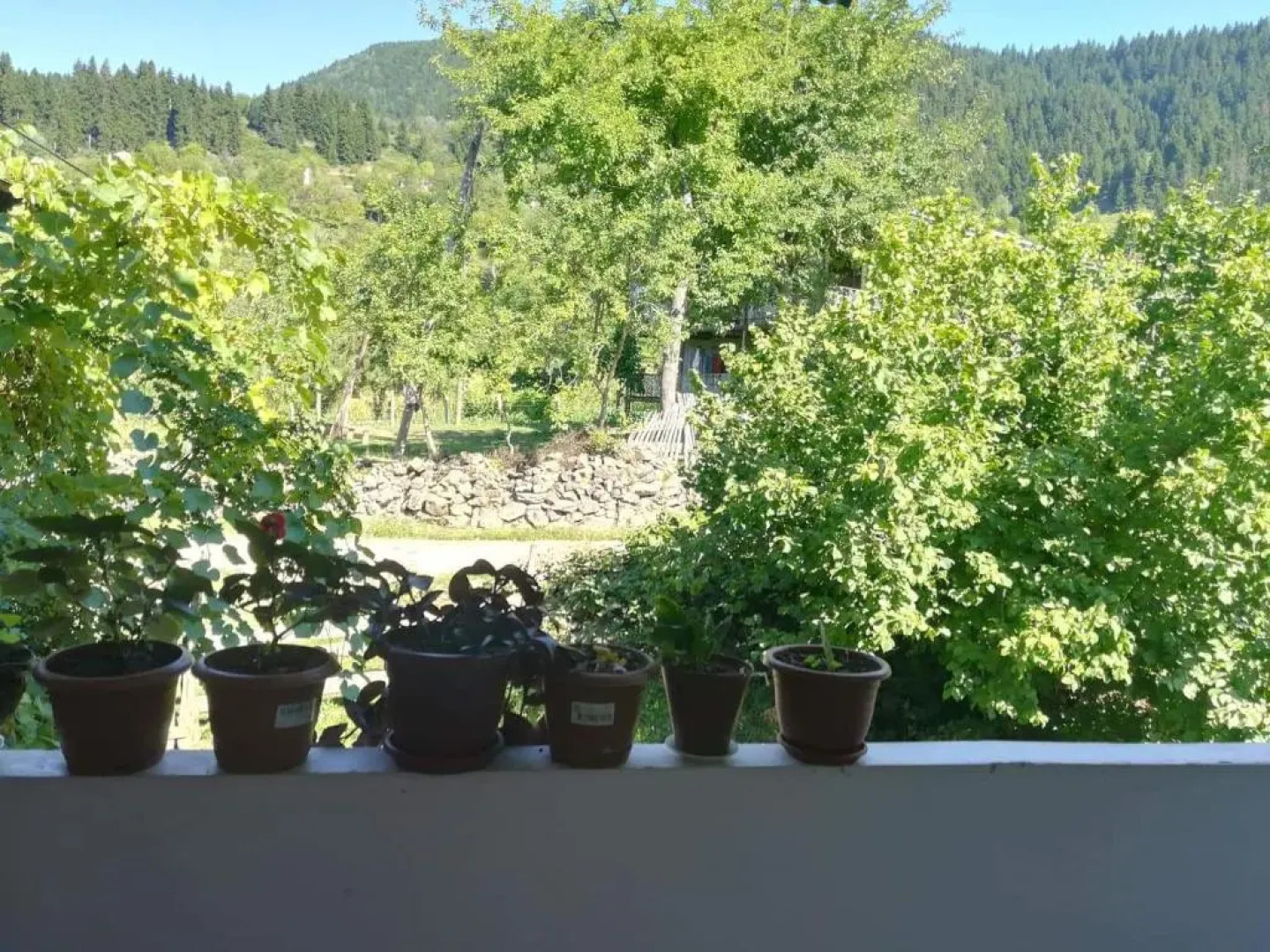 Txilaziri Guest House