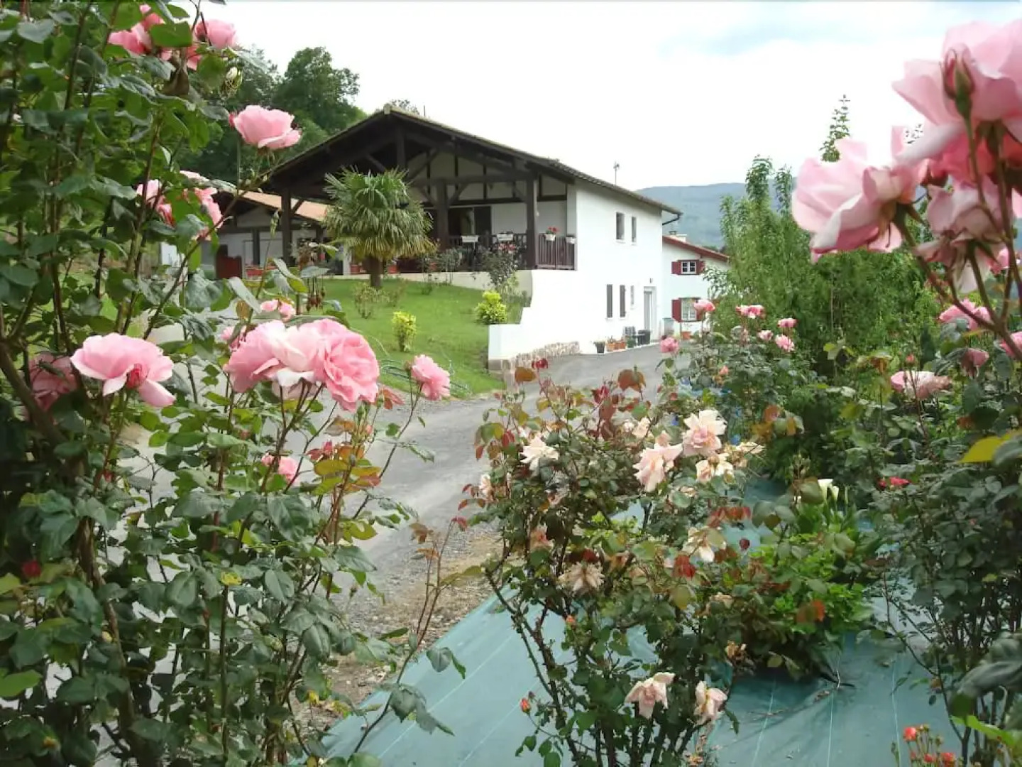 Gîtes au cœur du Pays basque