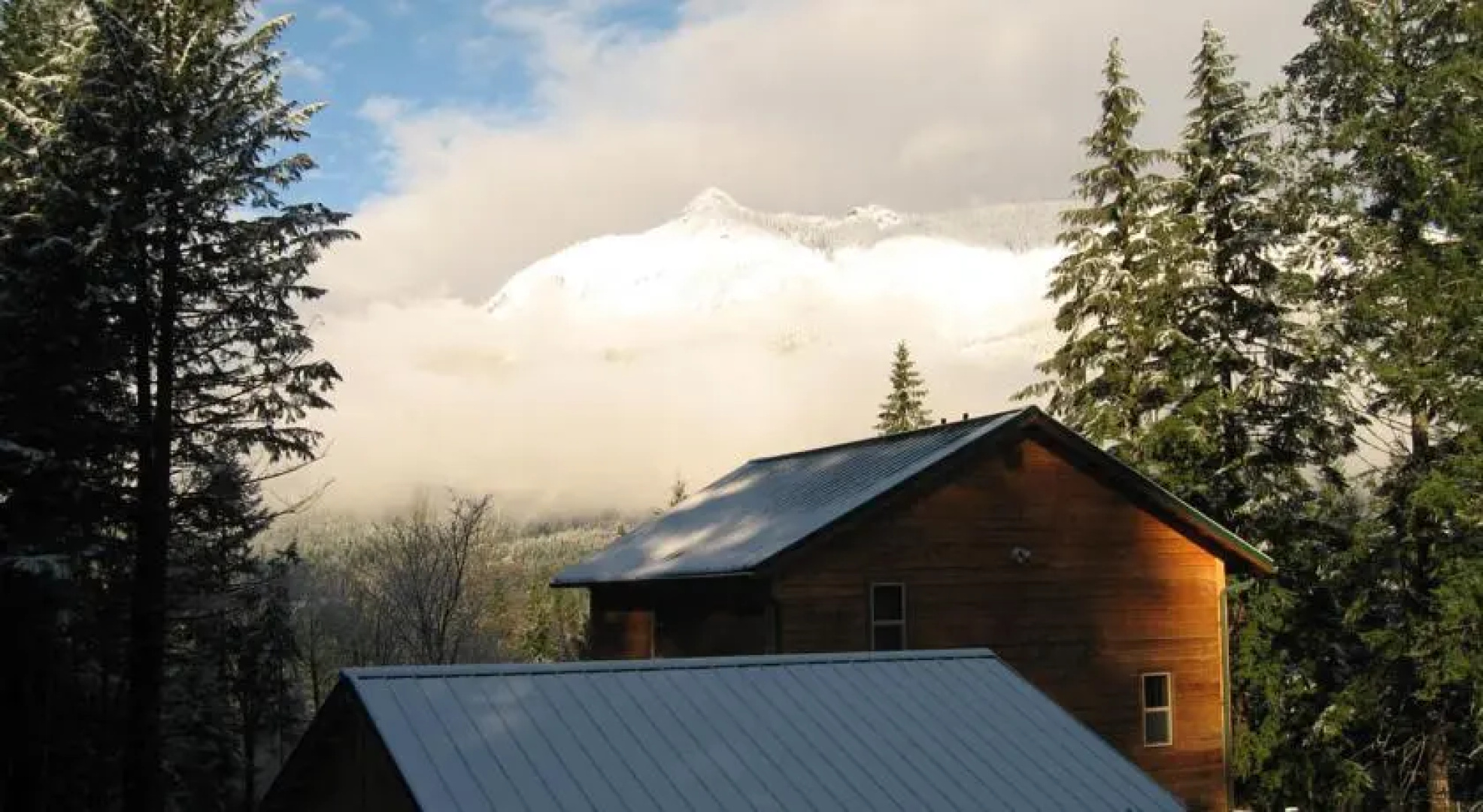 Timberline Pines - Grizzly Tower