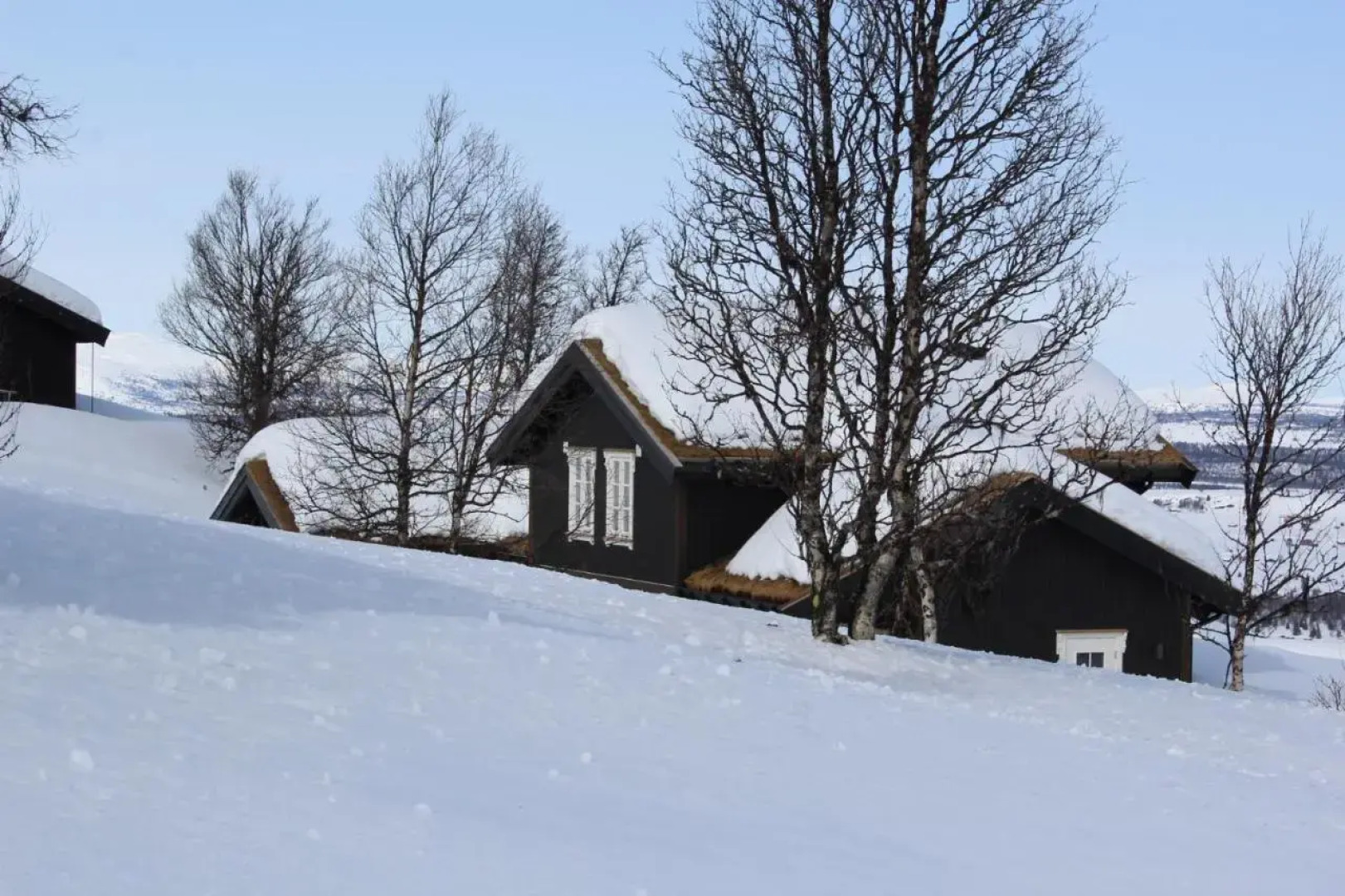 Torshaug 4 bedroom cabin