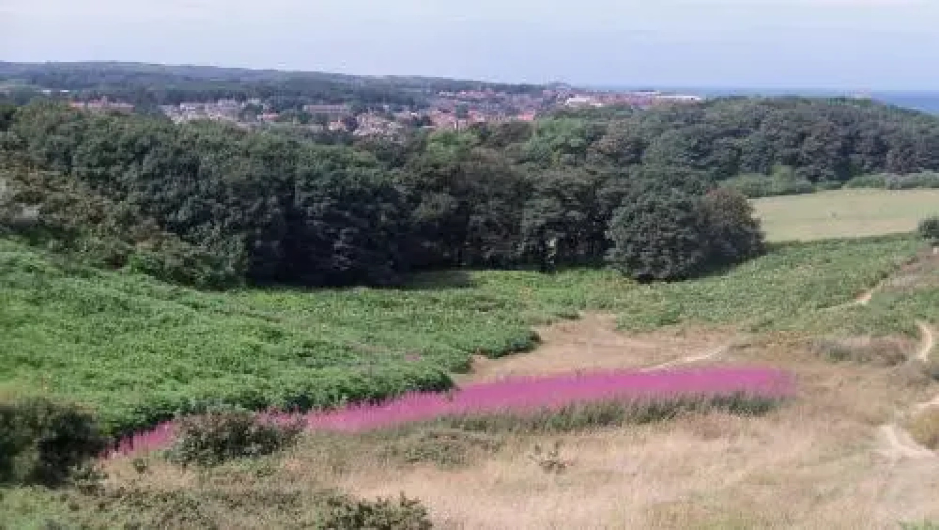 The Cabin with the View (Adults Only)