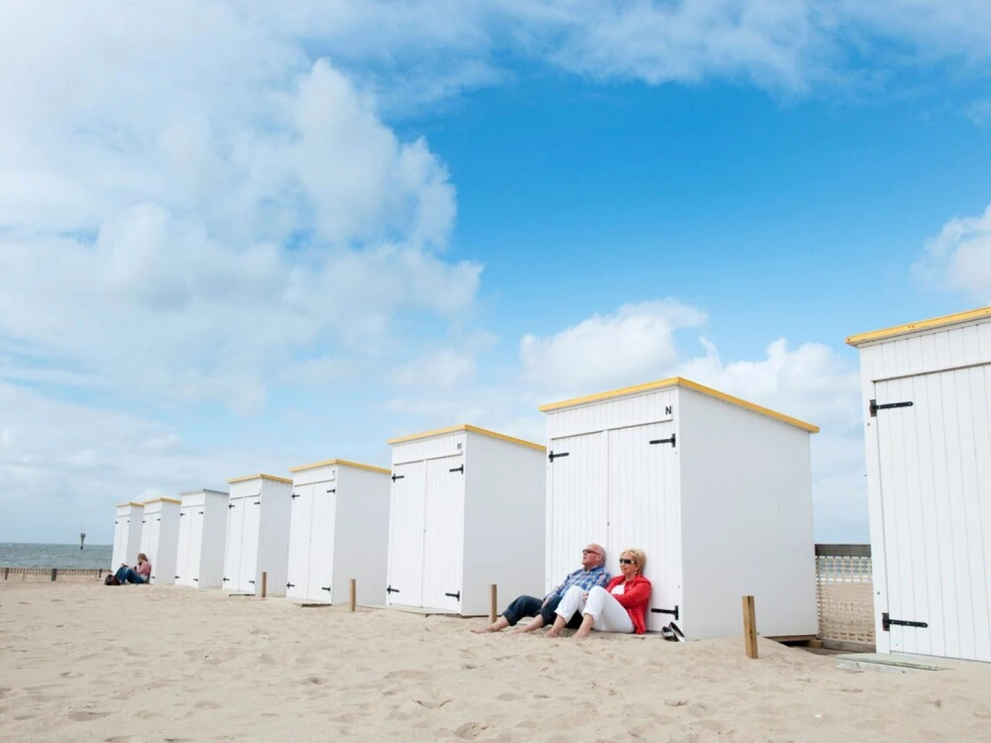 Villa Near Nieuwvliet Beach With Sauna