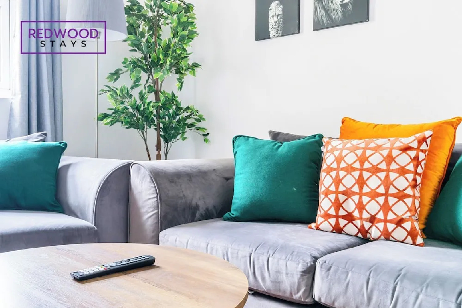 Modern Town Center Apartments Aldershot