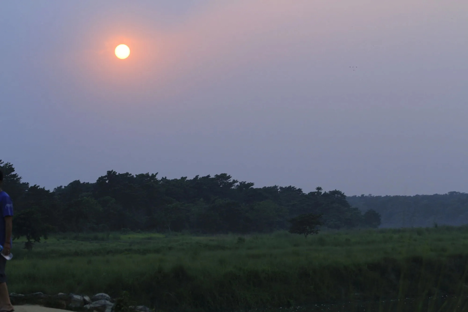 Chitwan Safari Camp & Lodge