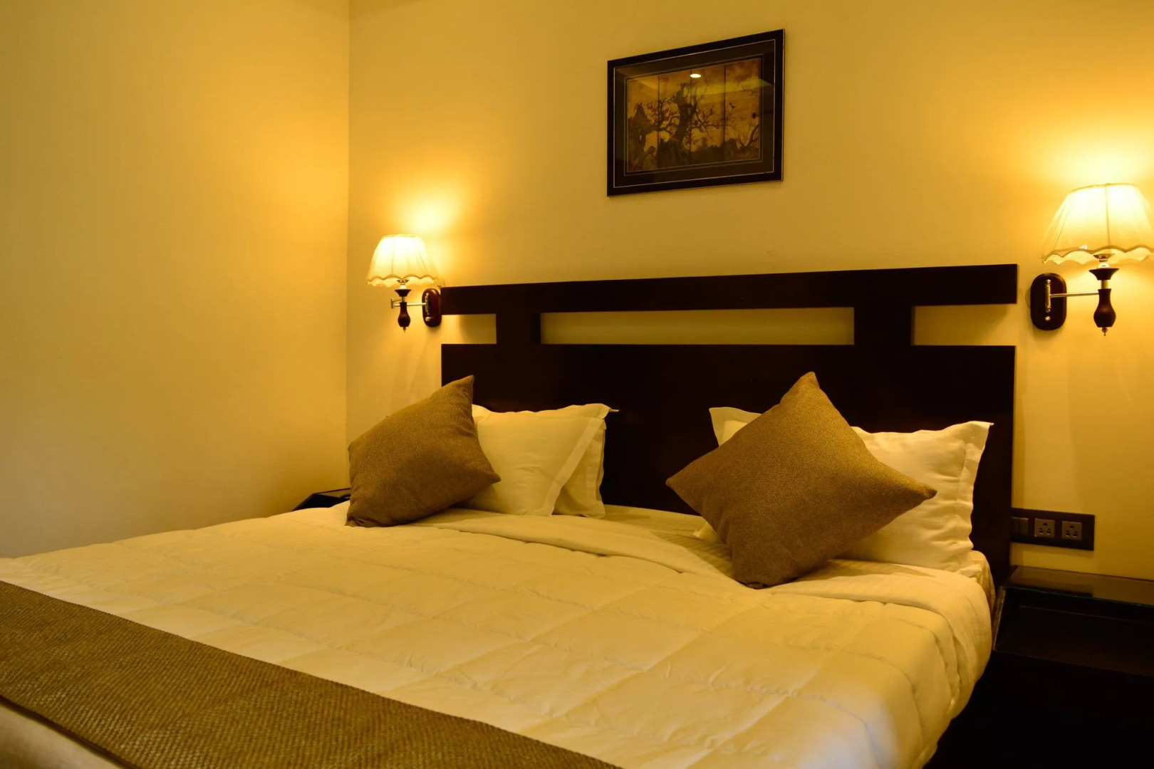 OYO 6645 Hotel Sapphire