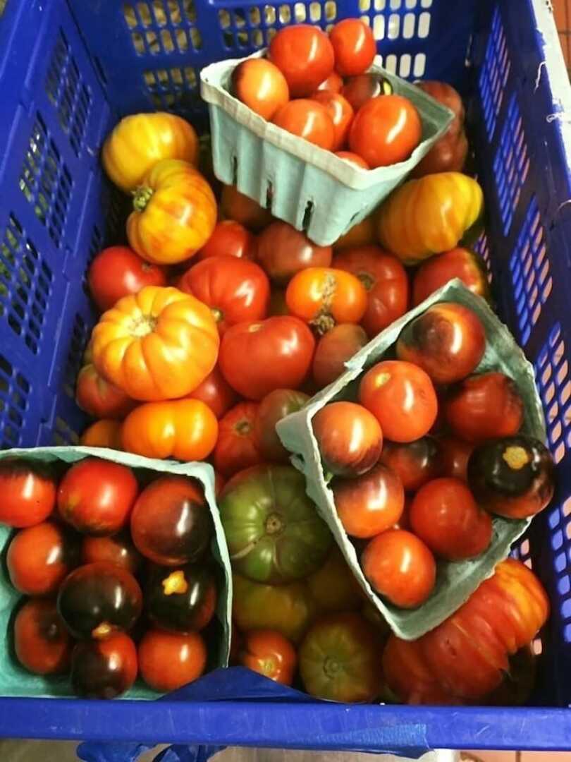 The Peter Herdic Inn