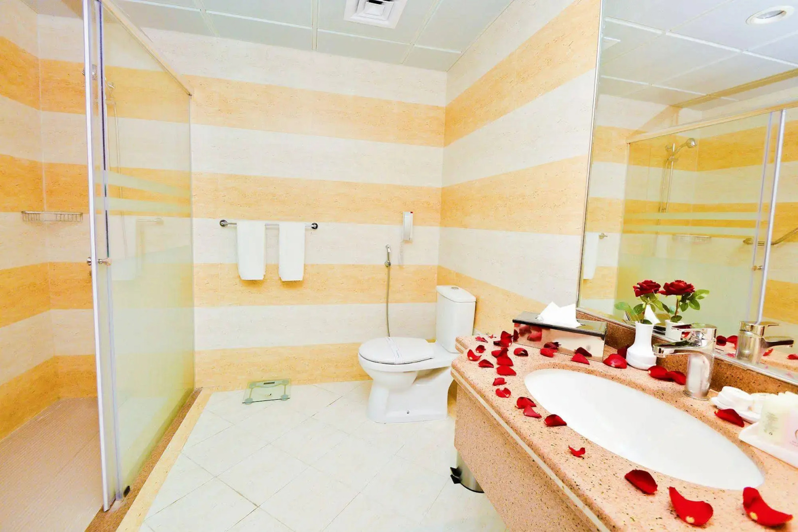 Alansar Golden Tulip