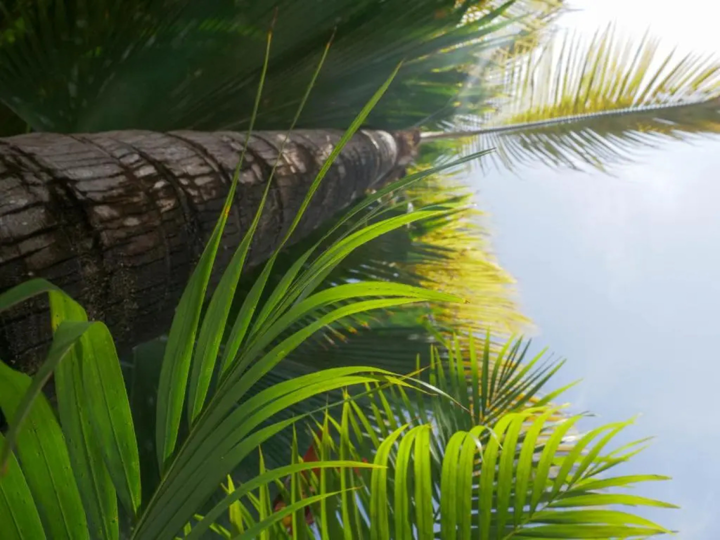 Grand Hotel Mercedes