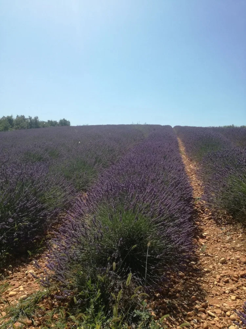 Résidence les Cades